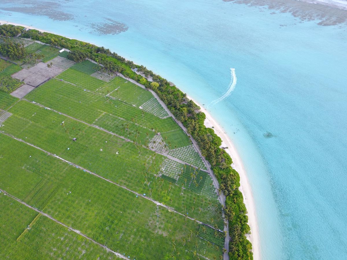 Resten Inn Thoddoo Buitenkant foto